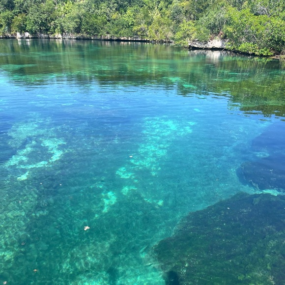 Meet your Posher, Ashley - Picture 14 of 16